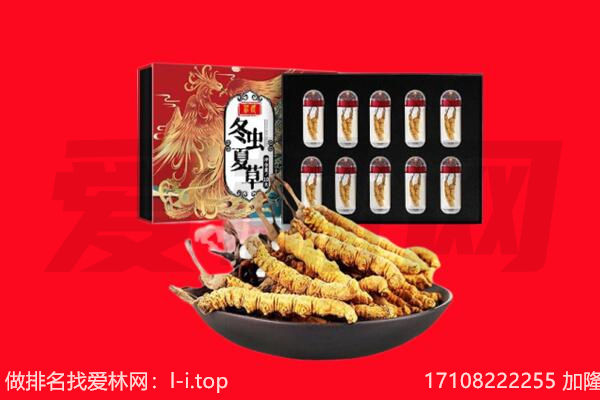 西安市高陵回收虫草.jpg